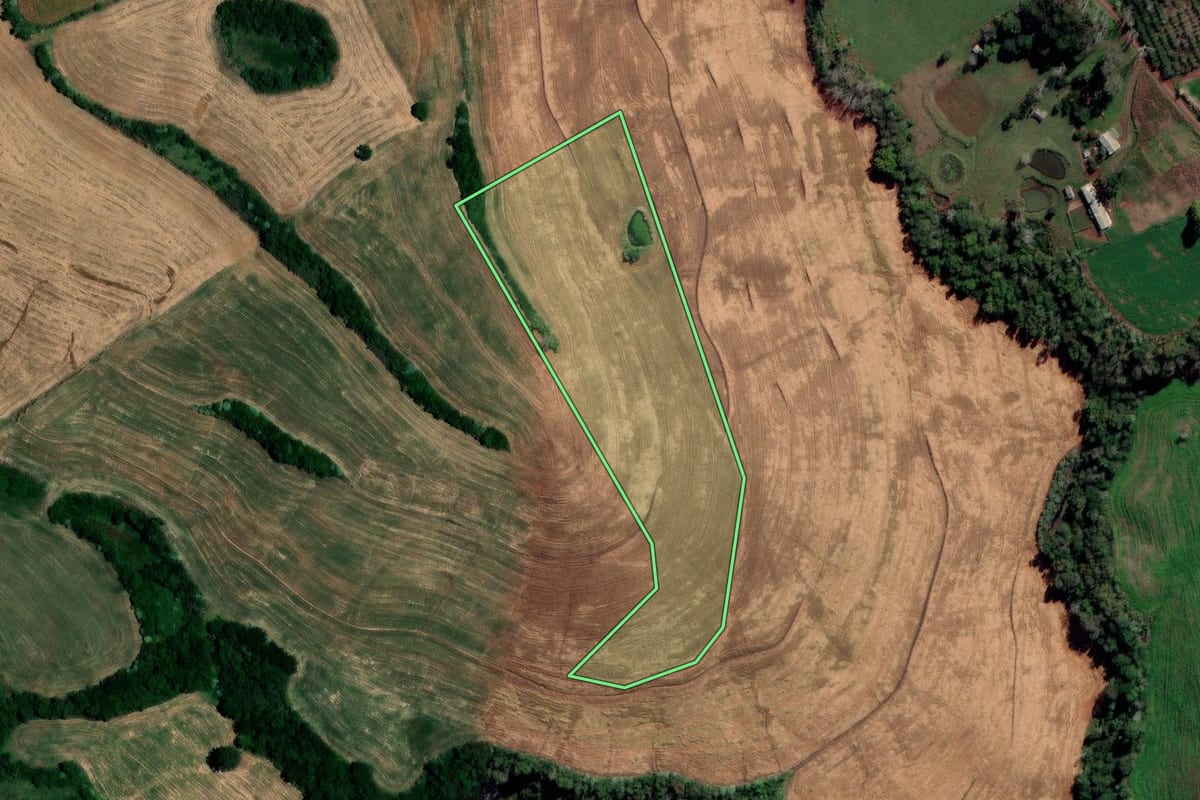 Imagem de satélite do imóvel rural em Novo Tiradentes (RS), com o contorno declarado no CAR desenhado por cima.