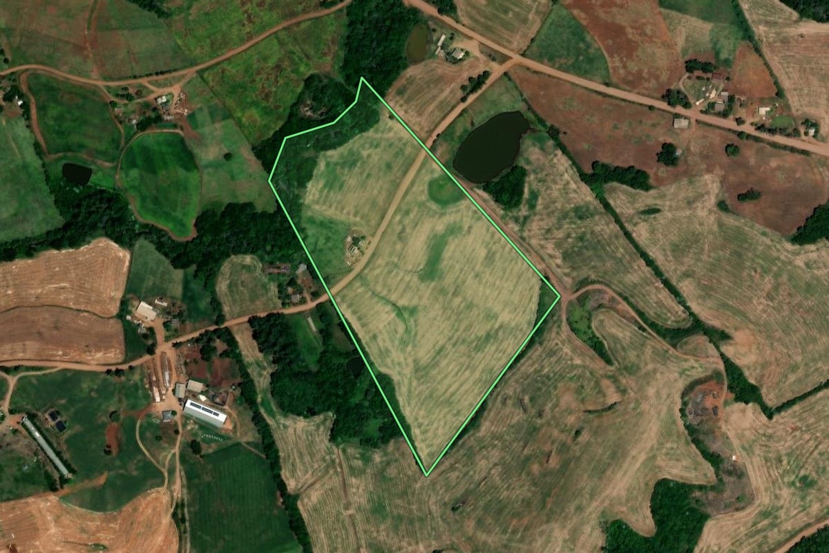 Imagem de satélite do imóvel rural em Novo Tiradentes (RS), com o contorno declarado no CAR desenhado por cima.