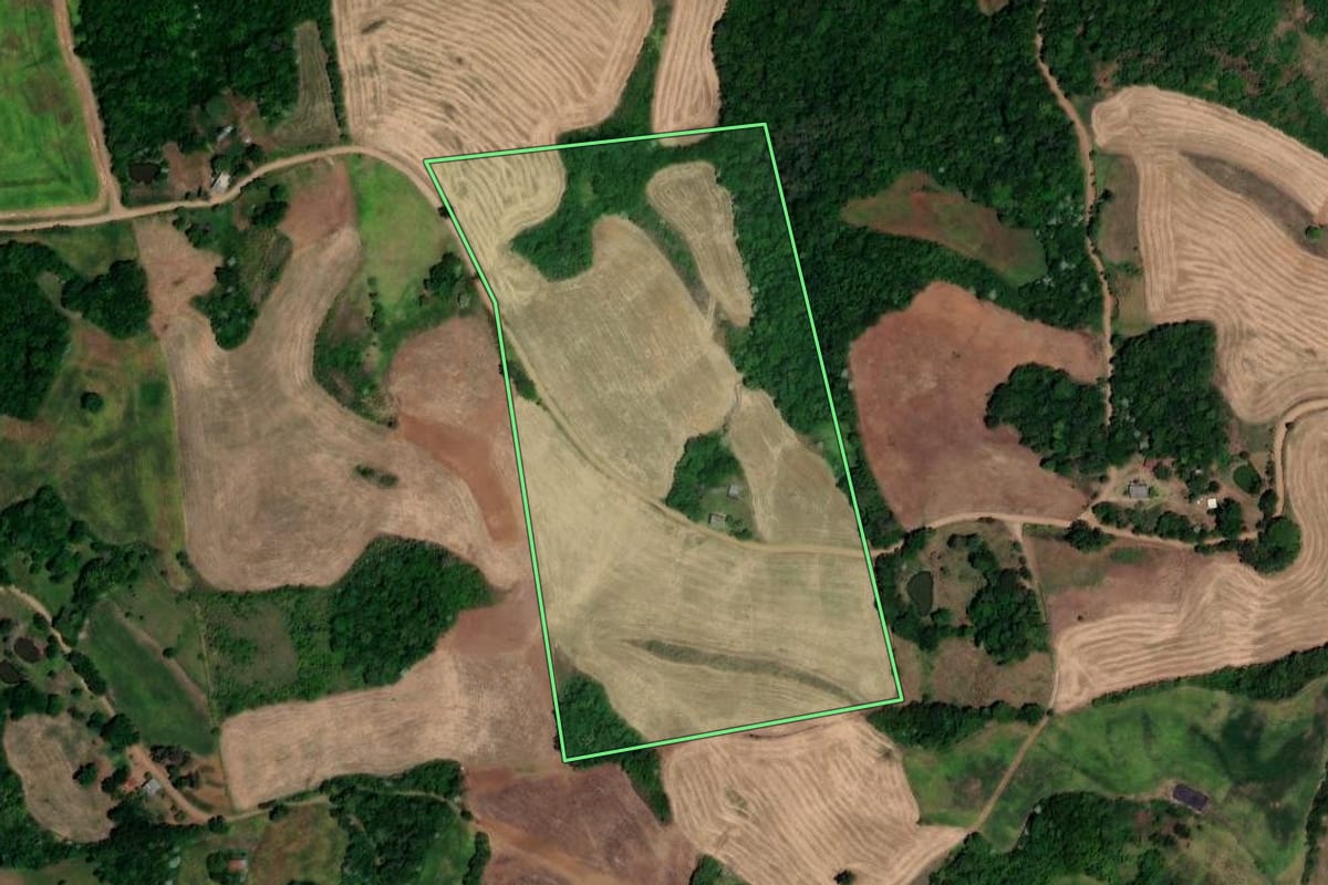Imagem de satélite do imóvel rural em Novo Tiradentes (RS), com o contorno declarado no CAR desenhado por cima.