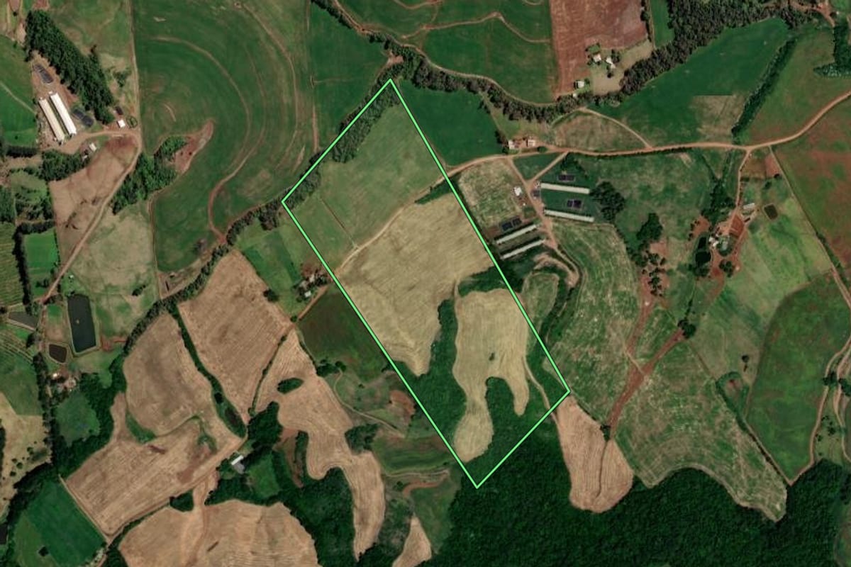 Imagem de satélite do imóvel rural em Novo Tiradentes (RS), com o contorno declarado no CAR desenhado por cima.