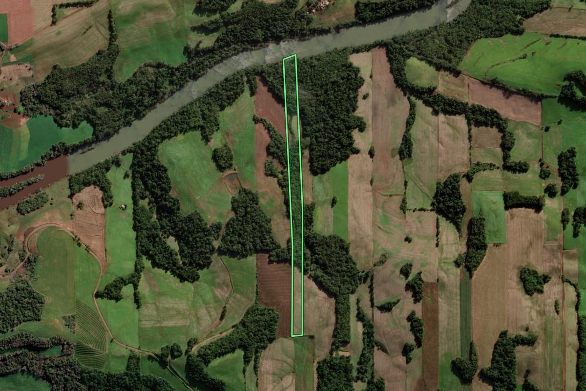 Imagem de satélite do imóvel rural em Novo Xingu (RS), com o contorno declarado no CAR desenhado por cima.