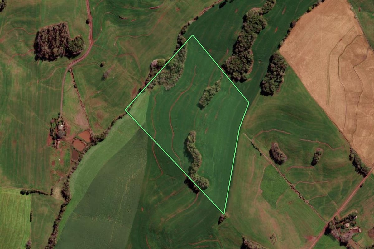 Imagem de satélite do imóvel rural em Novo Xingu (RS), com o contorno declarado no CAR desenhado por cima.