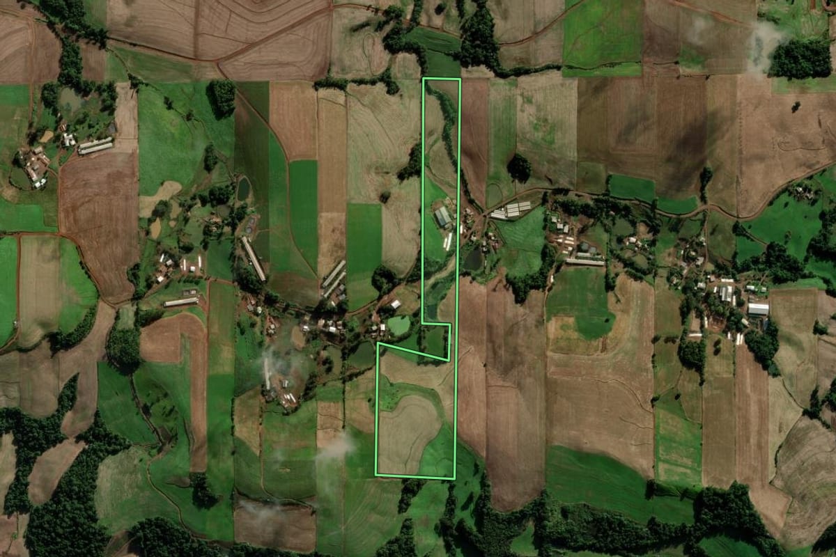 Imagem de satélite do imóvel rural em Novo Xingu (RS), com o contorno declarado no CAR desenhado por cima.