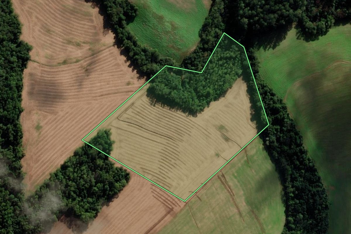 Imagem de satélite do imóvel rural em Novo Xingu (RS), com o contorno declarado no CAR desenhado por cima.