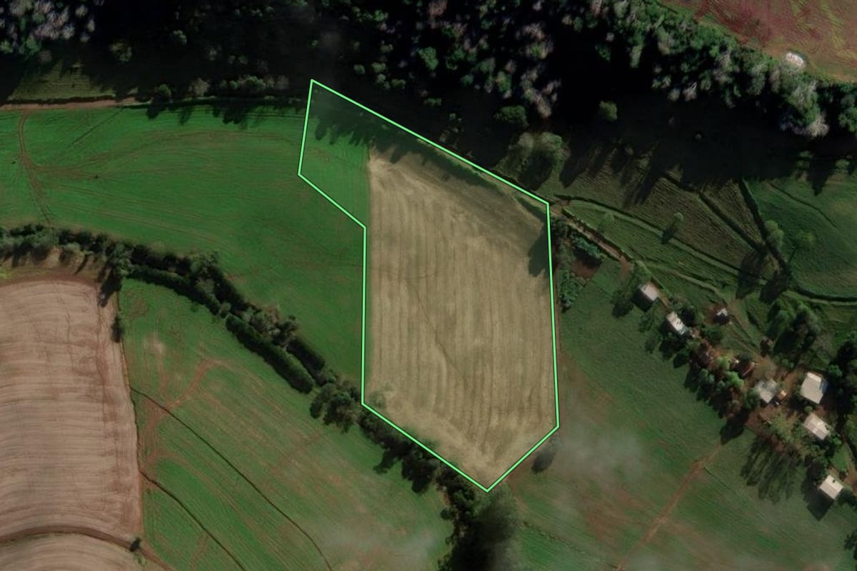 Imagem de satélite do imóvel rural em Novo Xingu (RS), com o contorno declarado no CAR desenhado por cima.
