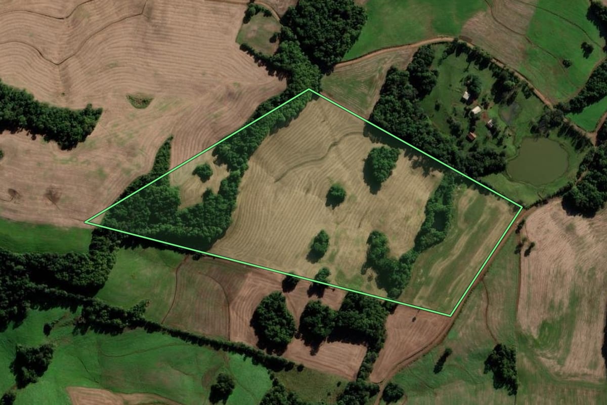 Imagem de satélite do imóvel rural em Novo Xingu (RS), com o contorno declarado no CAR desenhado por cima.