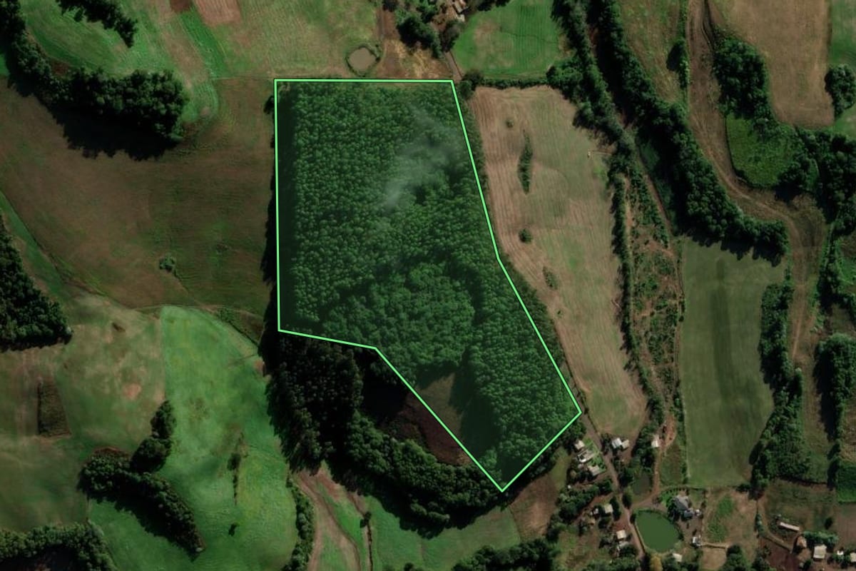 Imagem de satélite do imóvel rural em Novo Xingu (RS), com o contorno declarado no CAR desenhado por cima.