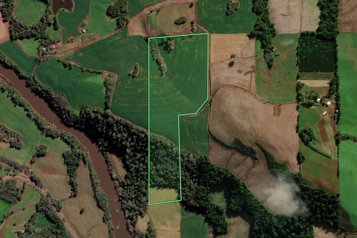 Imagem de satélite do imóvel rural em Novo Xingu (RS), com o contorno declarado no CAR desenhado por cima.