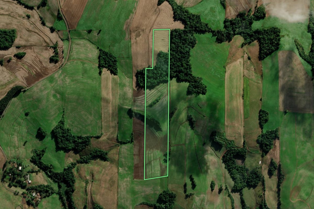 Imagem de satélite do imóvel rural em Novo Xingu (RS), com o contorno declarado no CAR desenhado por cima.