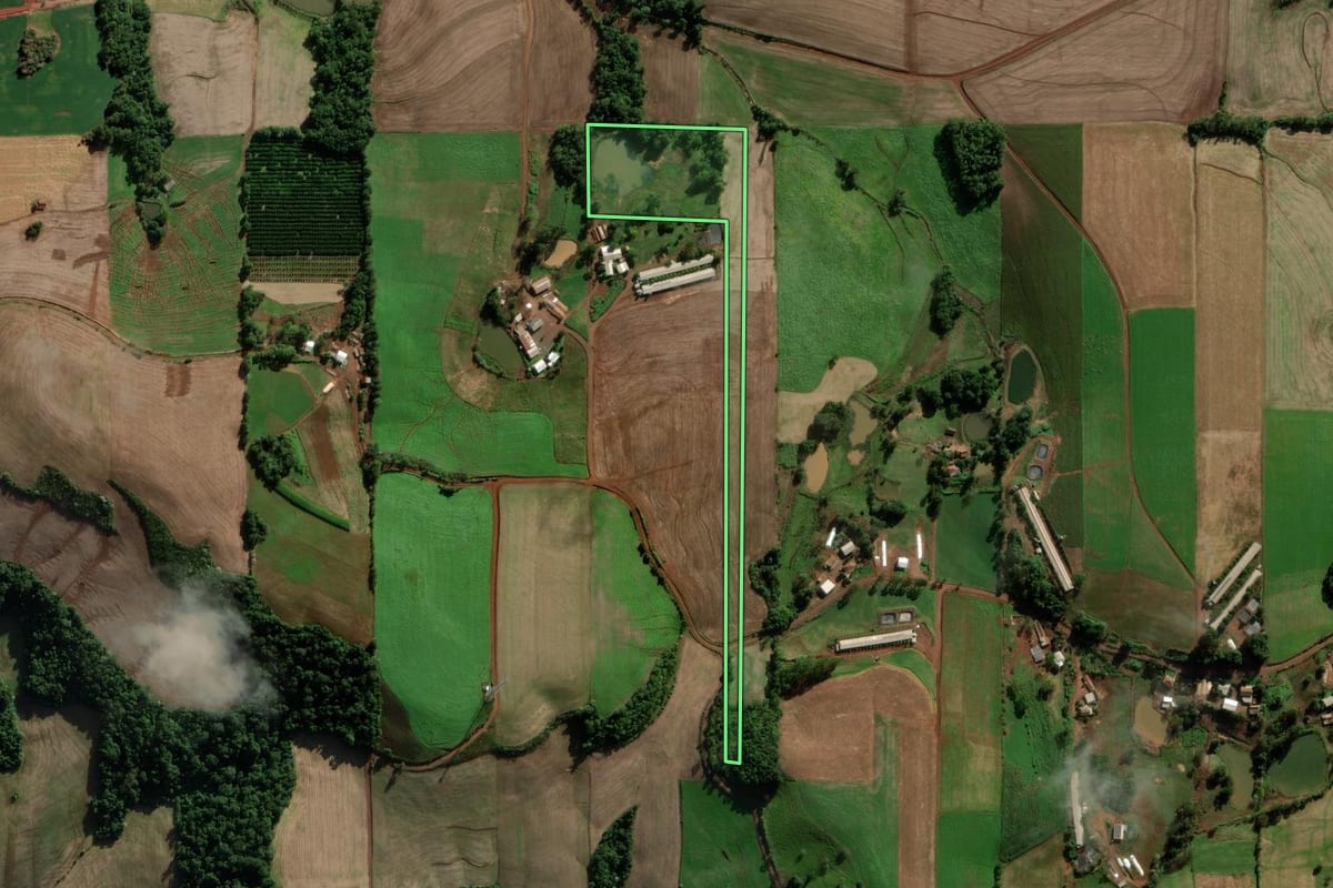 Imagem de satélite do imóvel rural em Novo Xingu (RS), com o contorno declarado no CAR desenhado por cima.