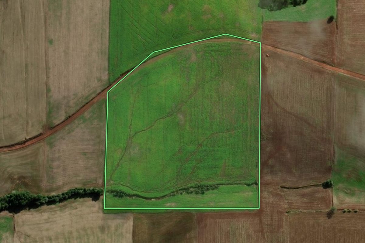 Imagem de satélite do imóvel rural em Novo Xingu (RS), com o contorno declarado no CAR desenhado por cima.