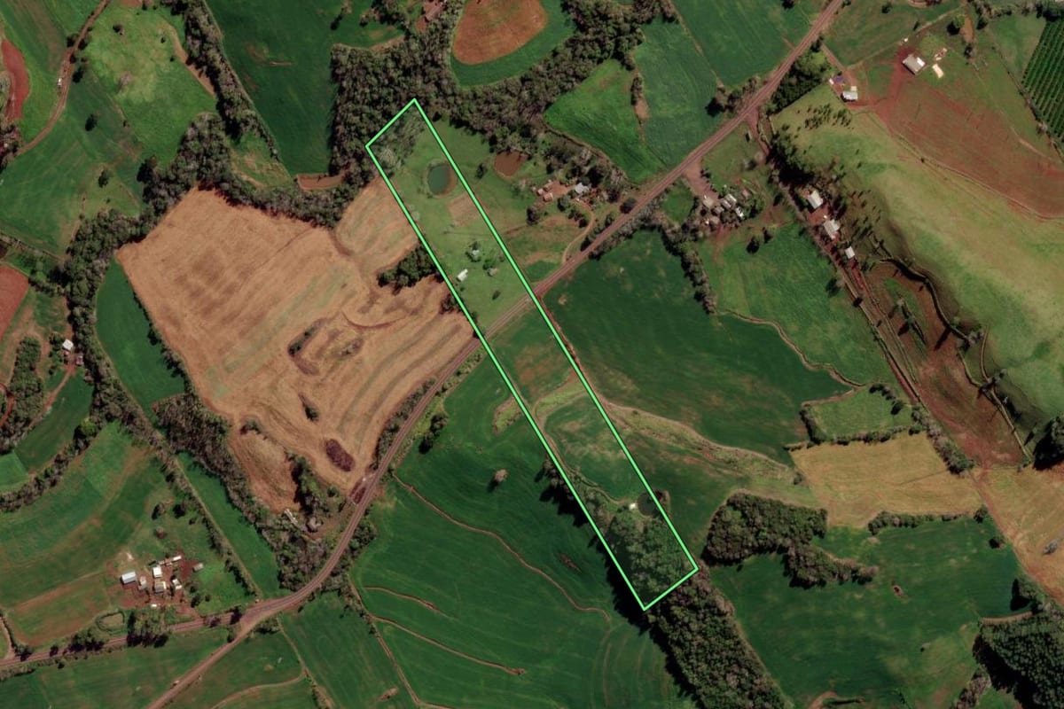 Imagem de satélite do imóvel rural em Novo Xingu (RS), com o contorno declarado no CAR desenhado por cima.