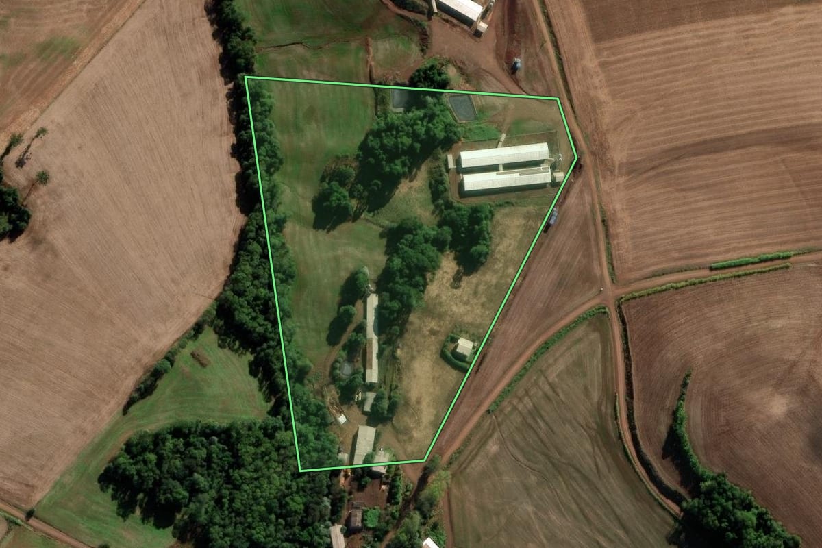 Imagem de satélite do imóvel rural em Novo Xingu (RS), com o contorno declarado no CAR desenhado por cima.