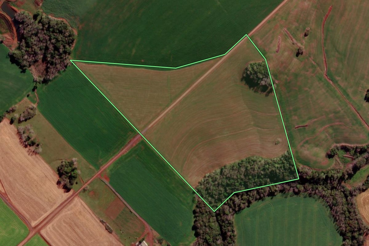 Imagem de satélite do imóvel rural em Novo Xingu (RS), com o contorno declarado no CAR desenhado por cima.