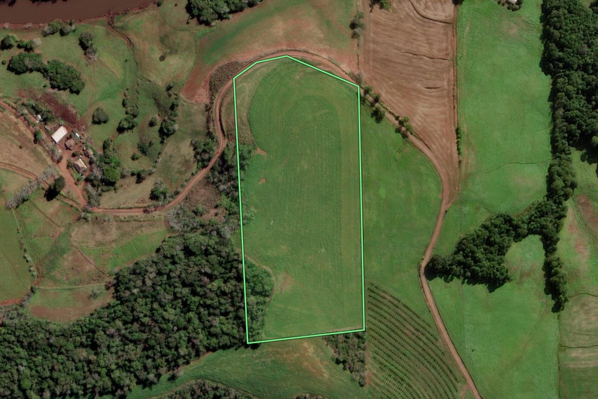 Imagem de satélite do imóvel rural em Novo Xingu (RS), com o contorno declarado no CAR desenhado por cima.