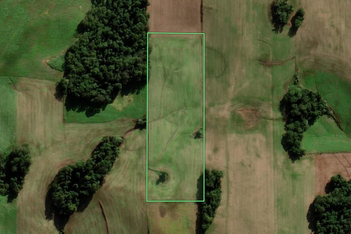Imagem de satélite do imóvel rural em Novo Xingu (RS), com o contorno declarado no CAR desenhado por cima.