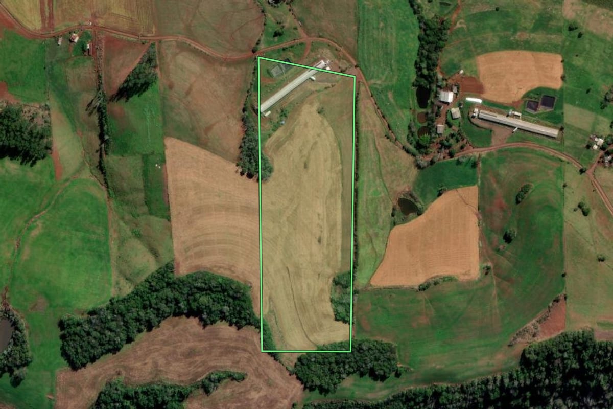 Imagem de satélite do imóvel rural em Novo Xingu (RS), com o contorno declarado no CAR desenhado por cima.