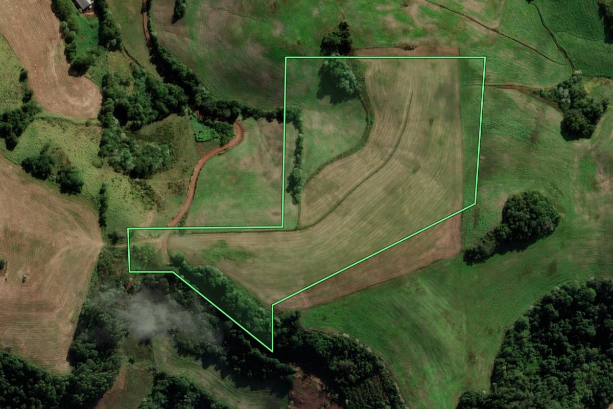 Imagem de satélite do imóvel rural em Novo Xingu (RS), com o contorno declarado no CAR desenhado por cima.