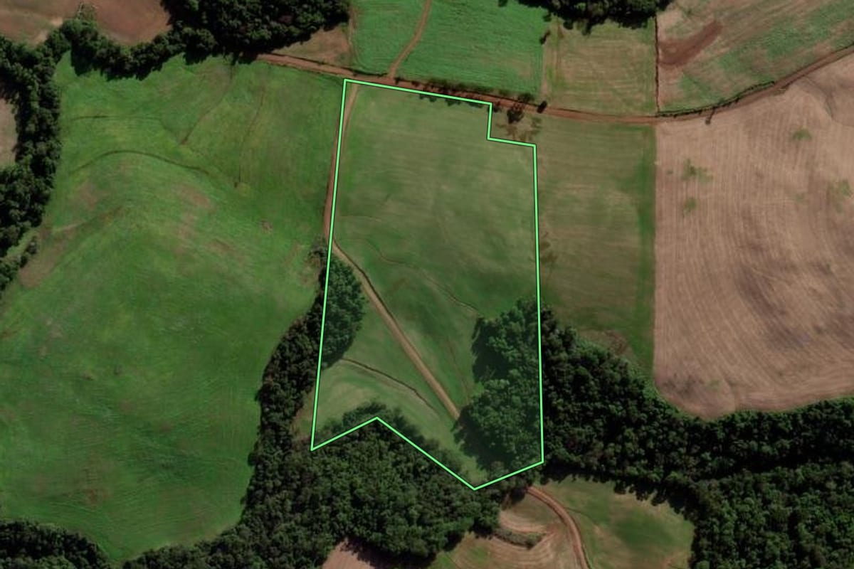 Imagem de satélite do imóvel rural em Novo Xingu (RS), com o contorno declarado no CAR desenhado por cima.