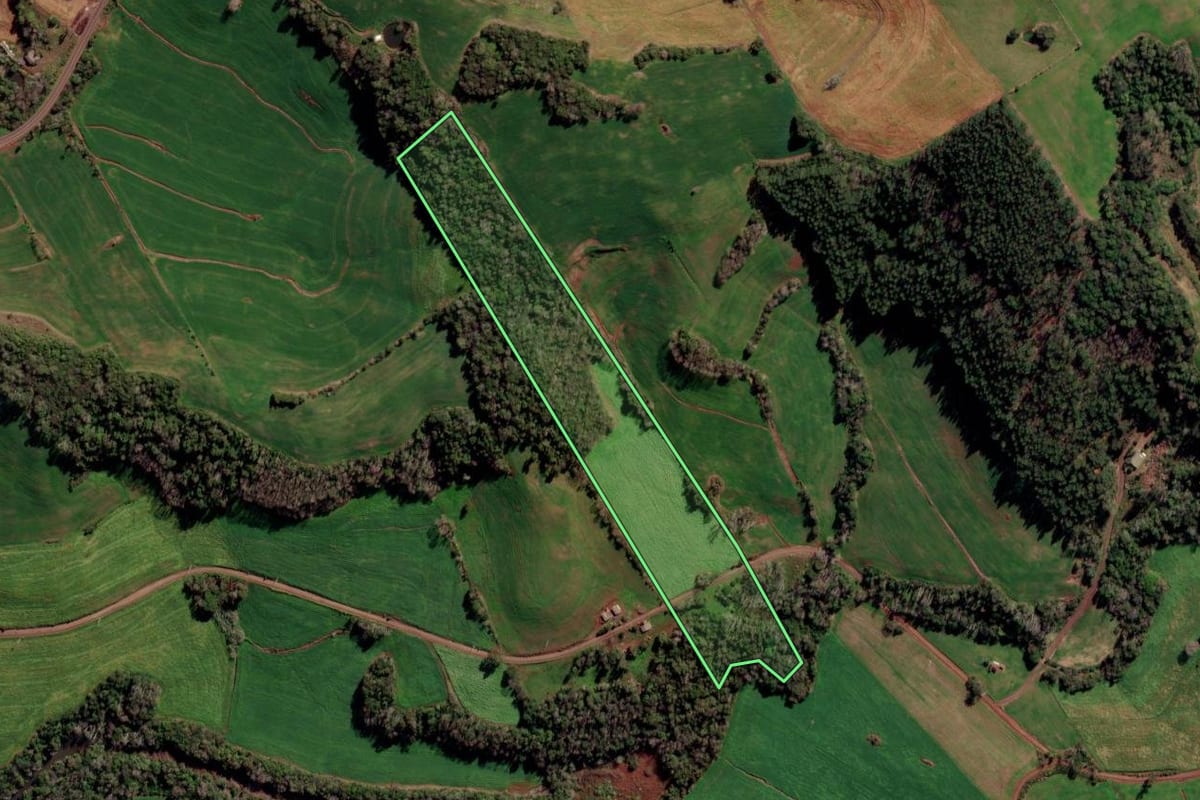 Imagem de satélite do imóvel rural em Novo Xingu (RS), com o contorno declarado no CAR desenhado por cima.