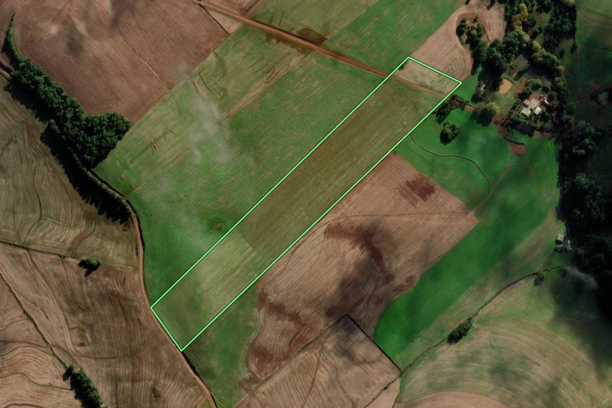 Imagem de satélite do imóvel rural em Novo Xingu (RS), com o contorno declarado no CAR desenhado por cima.