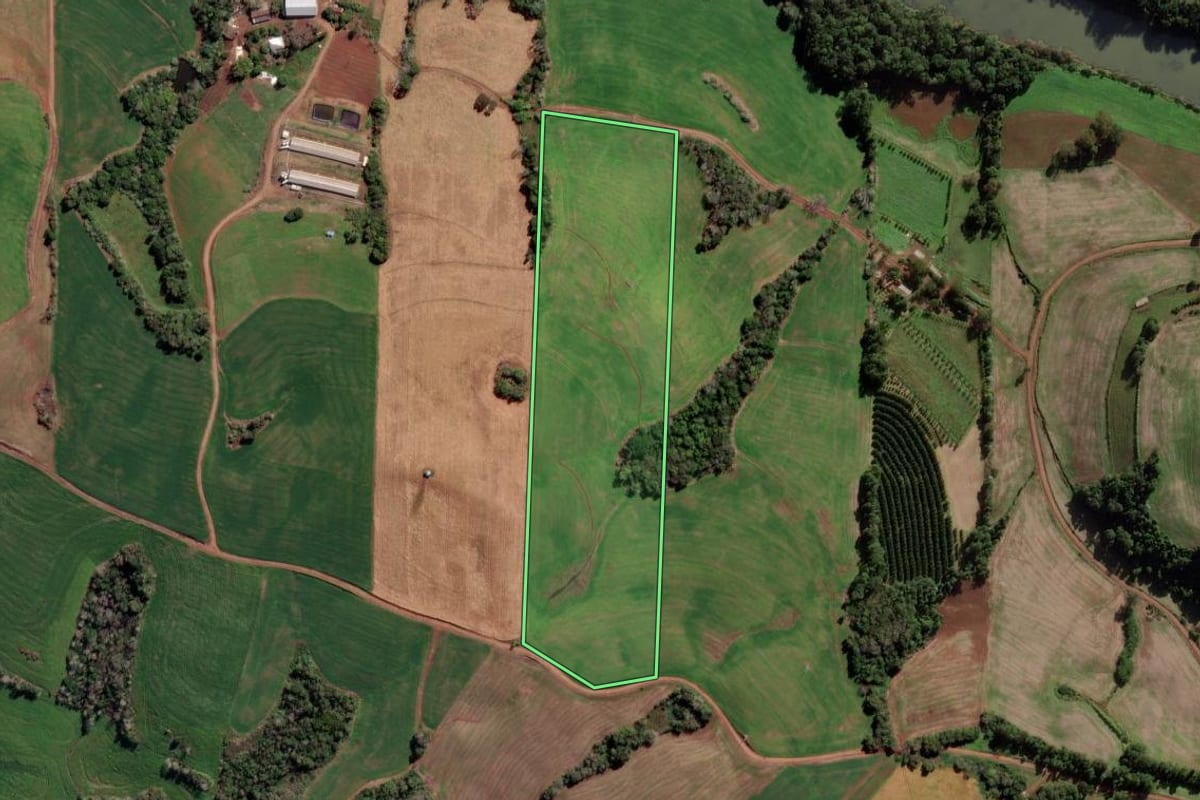 Imagem de satélite do imóvel rural em Novo Xingu (RS), com o contorno declarado no CAR desenhado por cima.