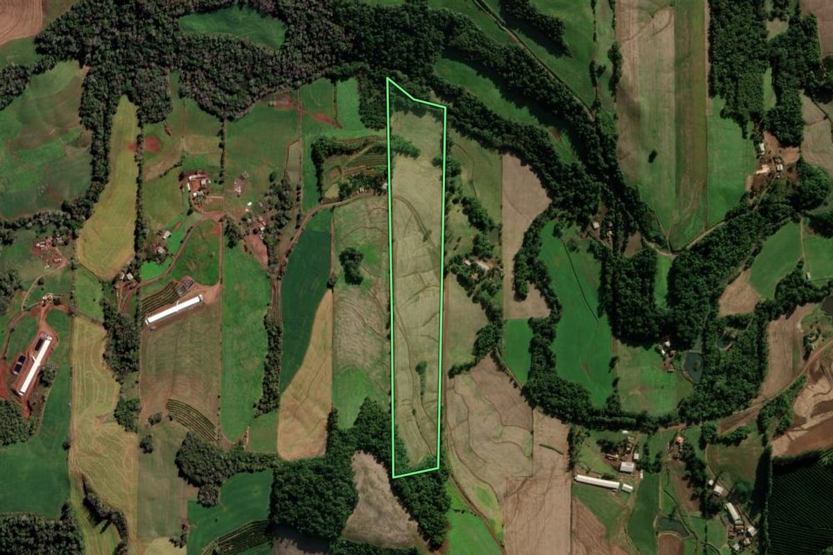 Imagem de satélite do imóvel rural em Novo Xingu (RS), com o contorno declarado no CAR desenhado por cima.