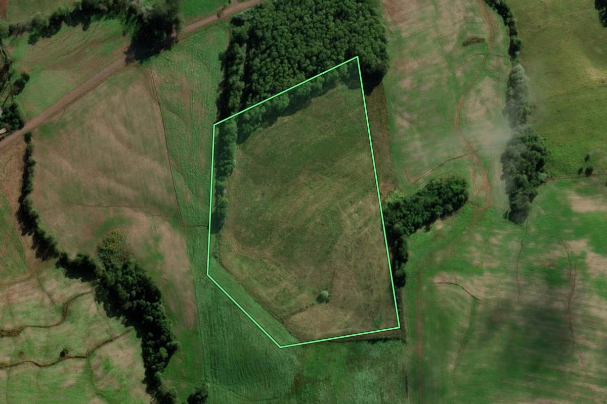 Imagem de satélite do imóvel rural em Novo Xingu (RS), com o contorno declarado no CAR desenhado por cima.