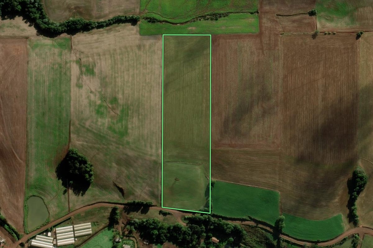 Imagem de satélite do imóvel rural em Novo Xingu (RS), com o contorno declarado no CAR desenhado por cima.