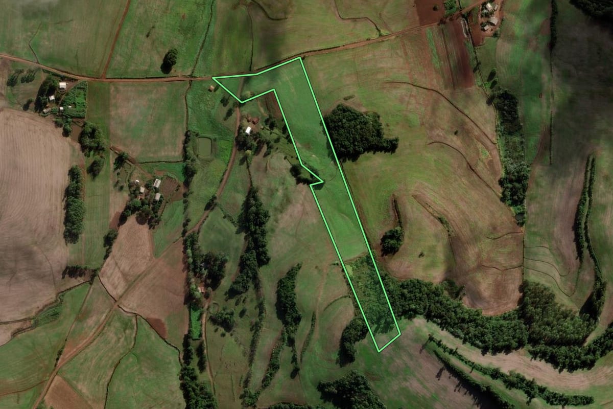 Imagem de satélite do imóvel rural em Novo Xingu (RS), com o contorno declarado no CAR desenhado por cima.