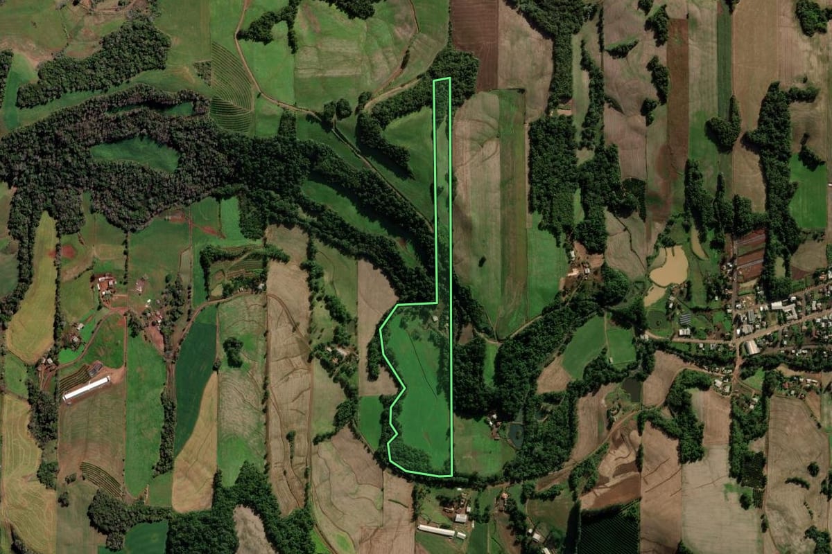 Imagem de satélite do imóvel rural em Novo Xingu (RS), com o contorno declarado no CAR desenhado por cima.