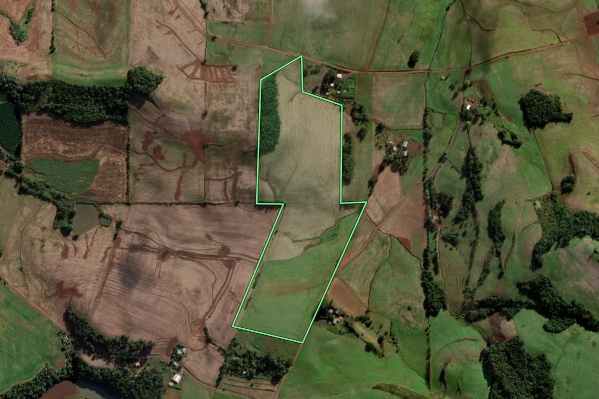 Imagem de satélite do imóvel rural em Novo Xingu (RS), com o contorno declarado no CAR desenhado por cima.