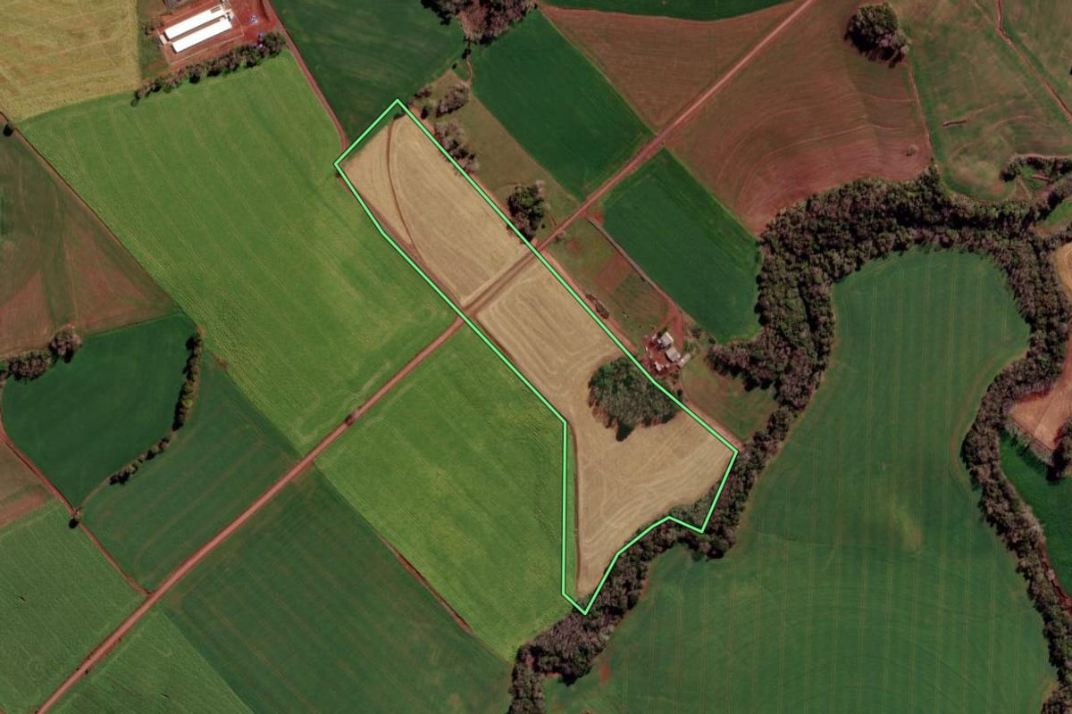Imagem de satélite do imóvel rural em Novo Xingu (RS), com o contorno declarado no CAR desenhado por cima.