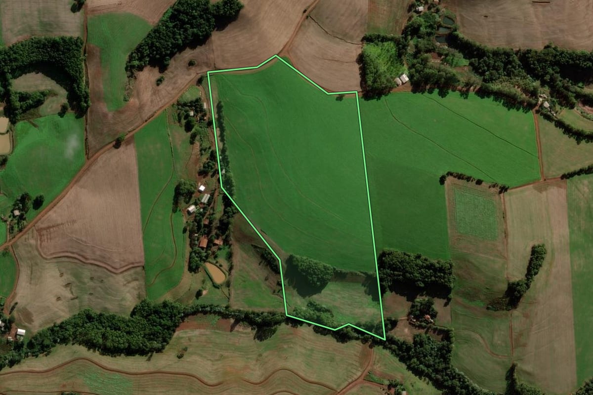 Imagem de satélite do imóvel rural em Novo Barreiro (RS), com o contorno declarado no CAR desenhado por cima.