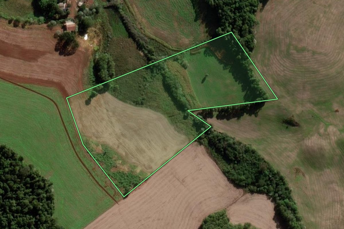 Imagem de satélite do imóvel rural em Novo Barreiro (RS), com o contorno declarado no CAR desenhado por cima.