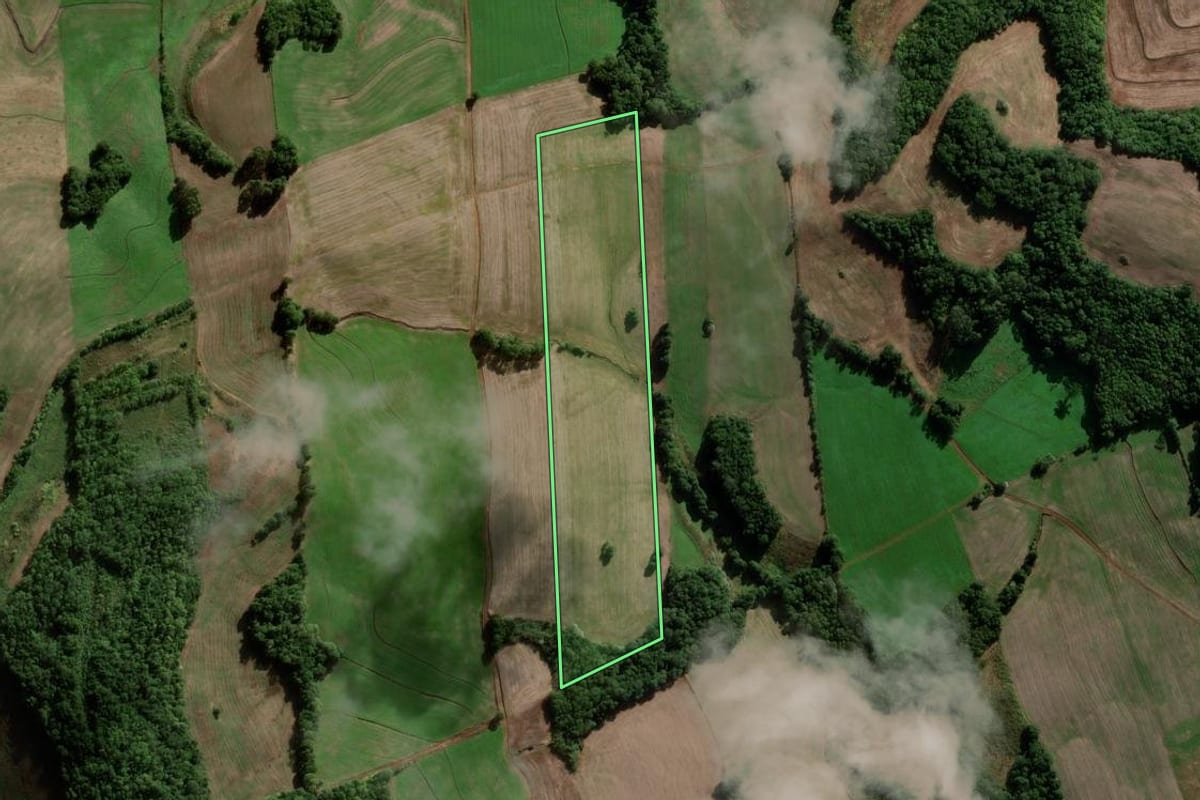 Imagem de satélite do imóvel rural em Novo Barreiro (RS), com o contorno declarado no CAR desenhado por cima.
