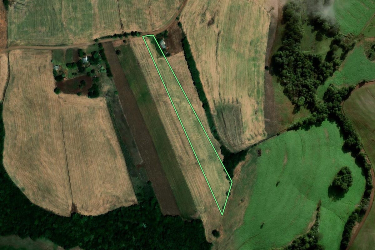Imagem de satélite do imóvel rural em Novo Barreiro (RS), com o contorno declarado no CAR desenhado por cima.