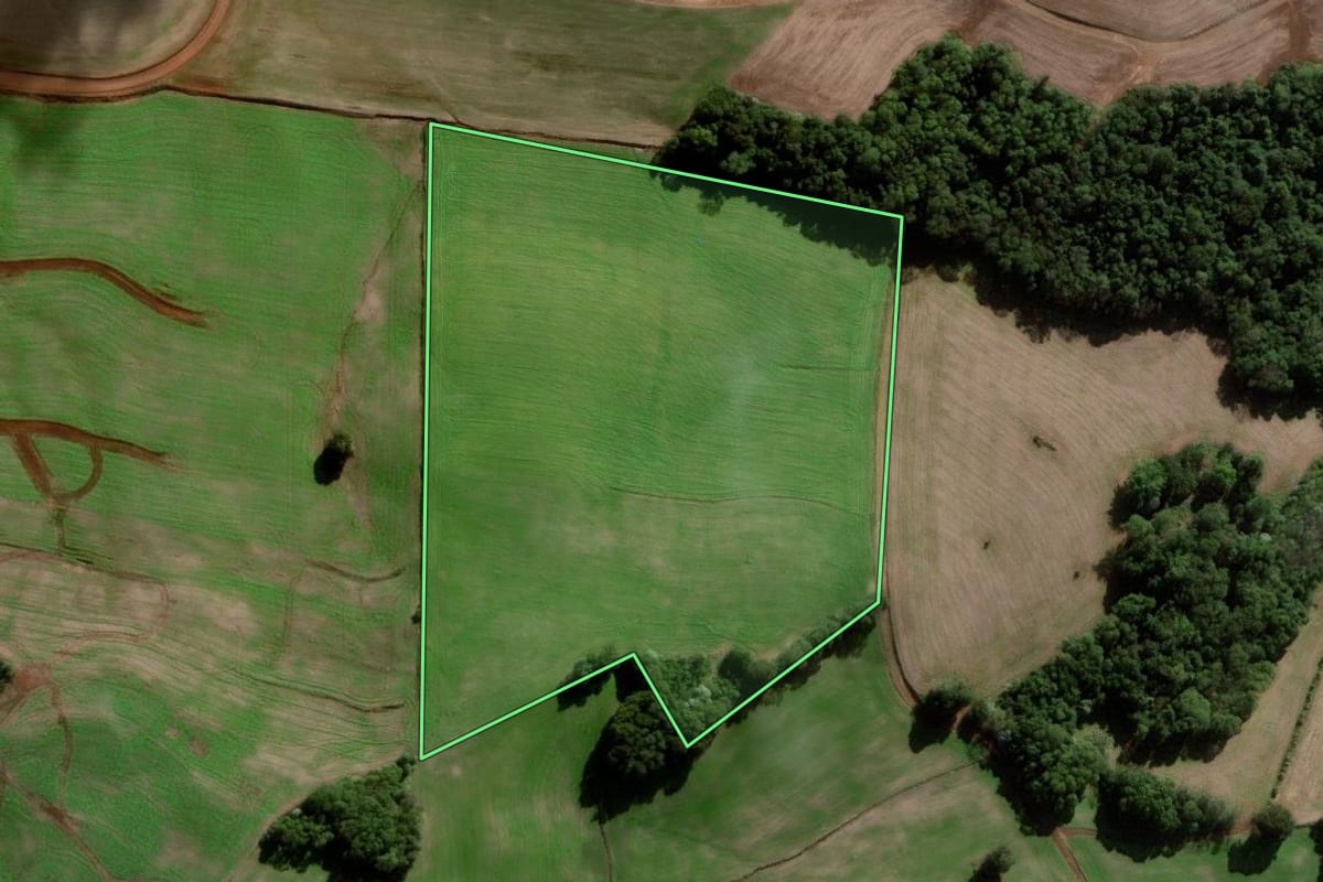 Imagem de satélite do imóvel rural em Novo Barreiro (RS), com o contorno declarado no CAR desenhado por cima.