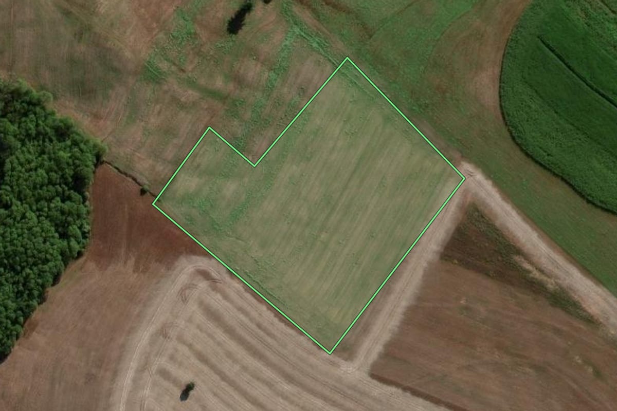 Imagem de satélite do imóvel rural em Novo Barreiro (RS), com o contorno declarado no CAR desenhado por cima.