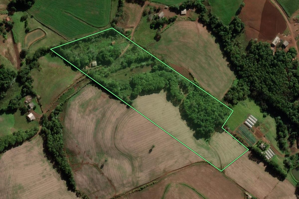 Imagem de satélite do imóvel rural em Novo Barreiro (RS), com o contorno declarado no CAR desenhado por cima.