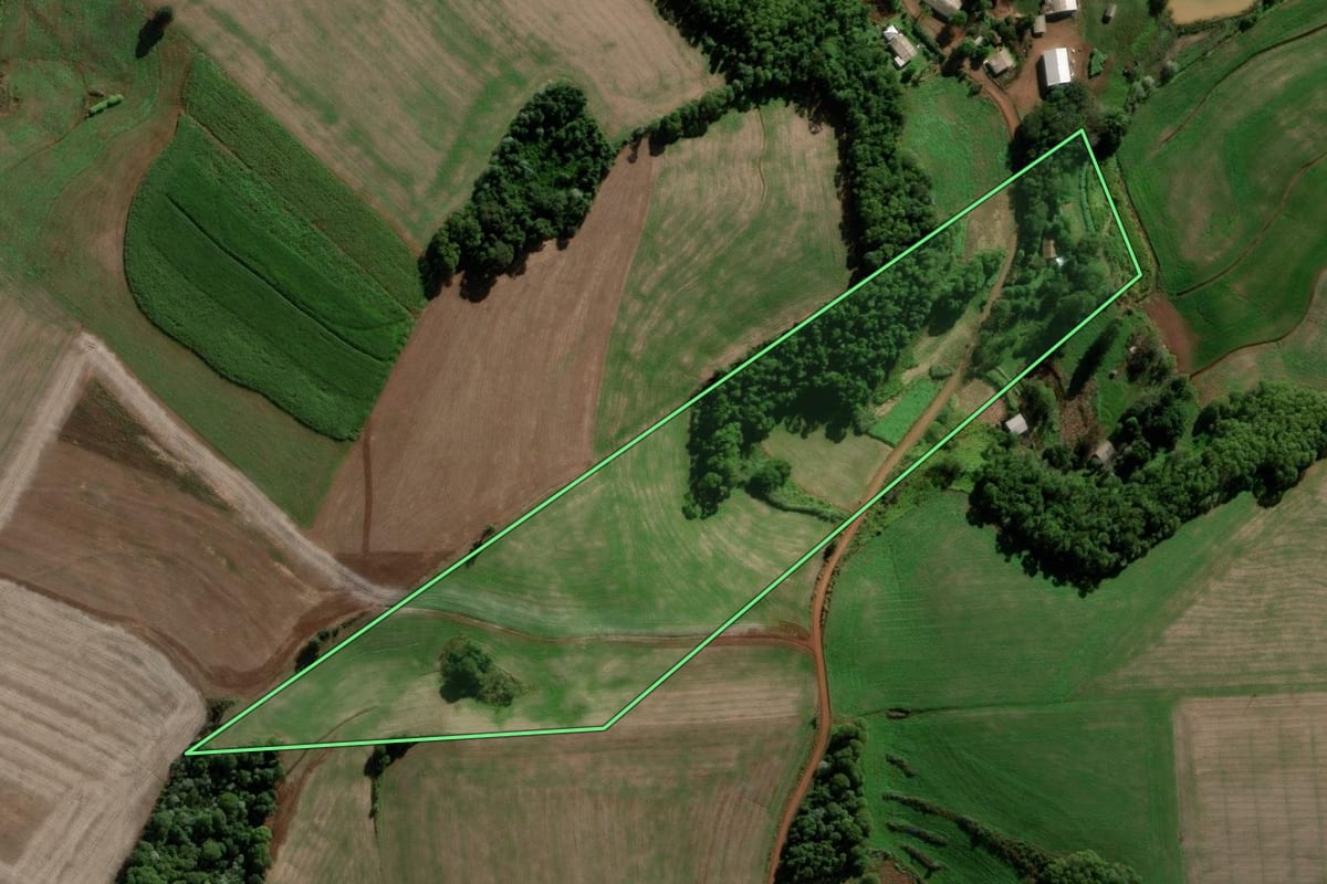 Imagem de satélite do imóvel rural em Novo Barreiro (RS), com o contorno declarado no CAR desenhado por cima.