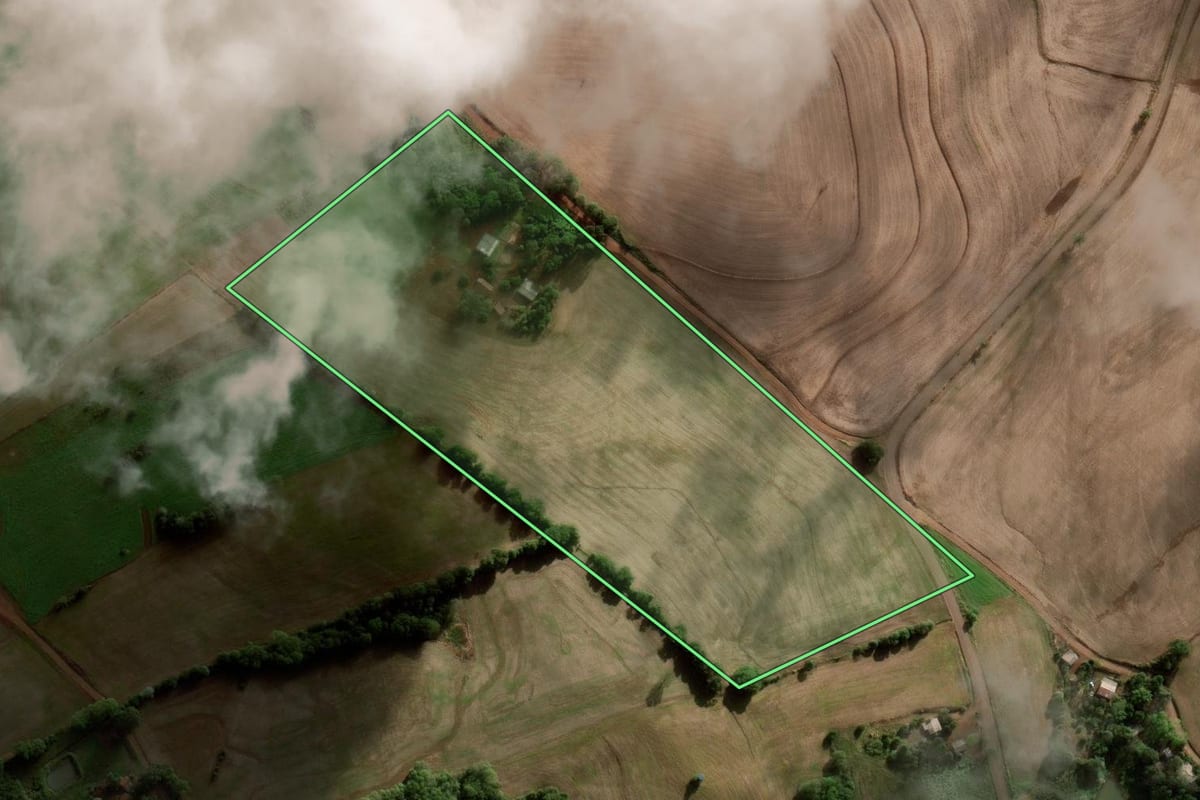Imagem de satélite do imóvel rural em Novo Barreiro (RS), com o contorno declarado no CAR desenhado por cima.