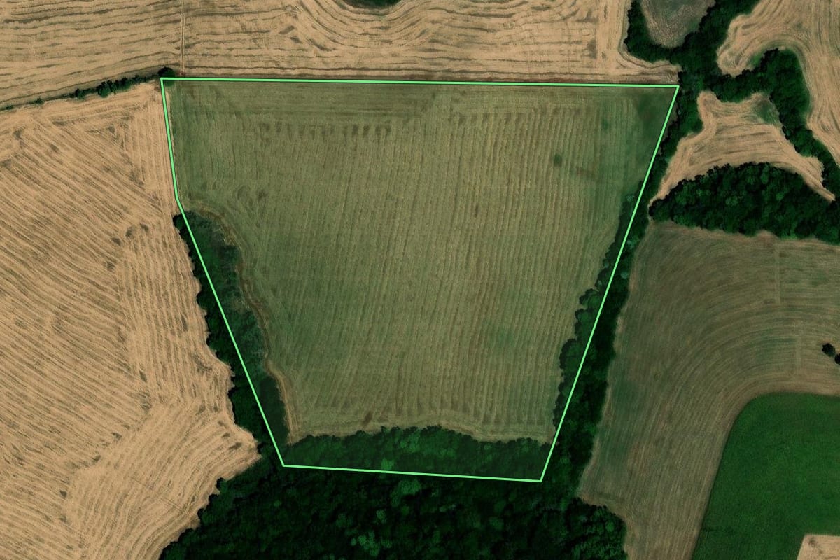 Imagem de satélite do imóvel rural em Novo Barreiro (RS), com o contorno declarado no CAR desenhado por cima.