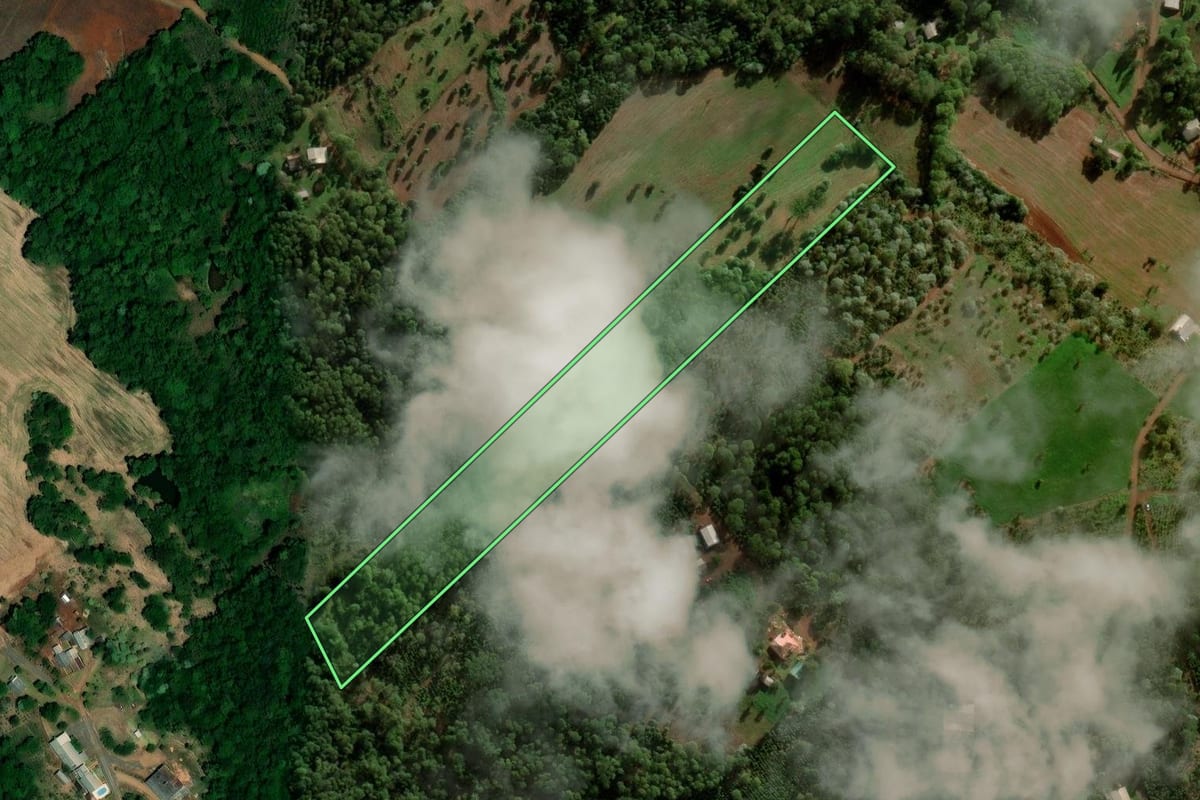 Imagem de satélite do imóvel rural em Novo Barreiro (RS), com o contorno declarado no CAR desenhado por cima.