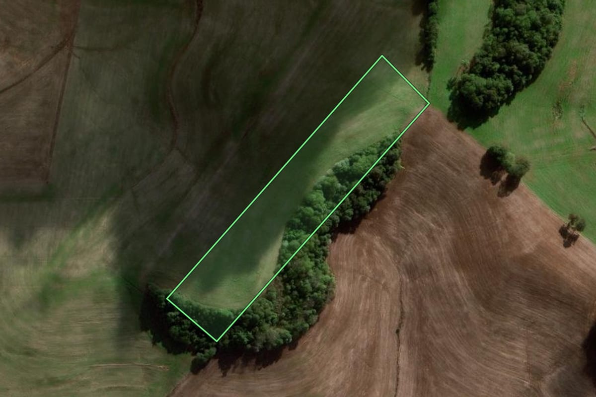 Imagem de satélite do imóvel rural em Novo Barreiro (RS), com o contorno declarado no CAR desenhado por cima.