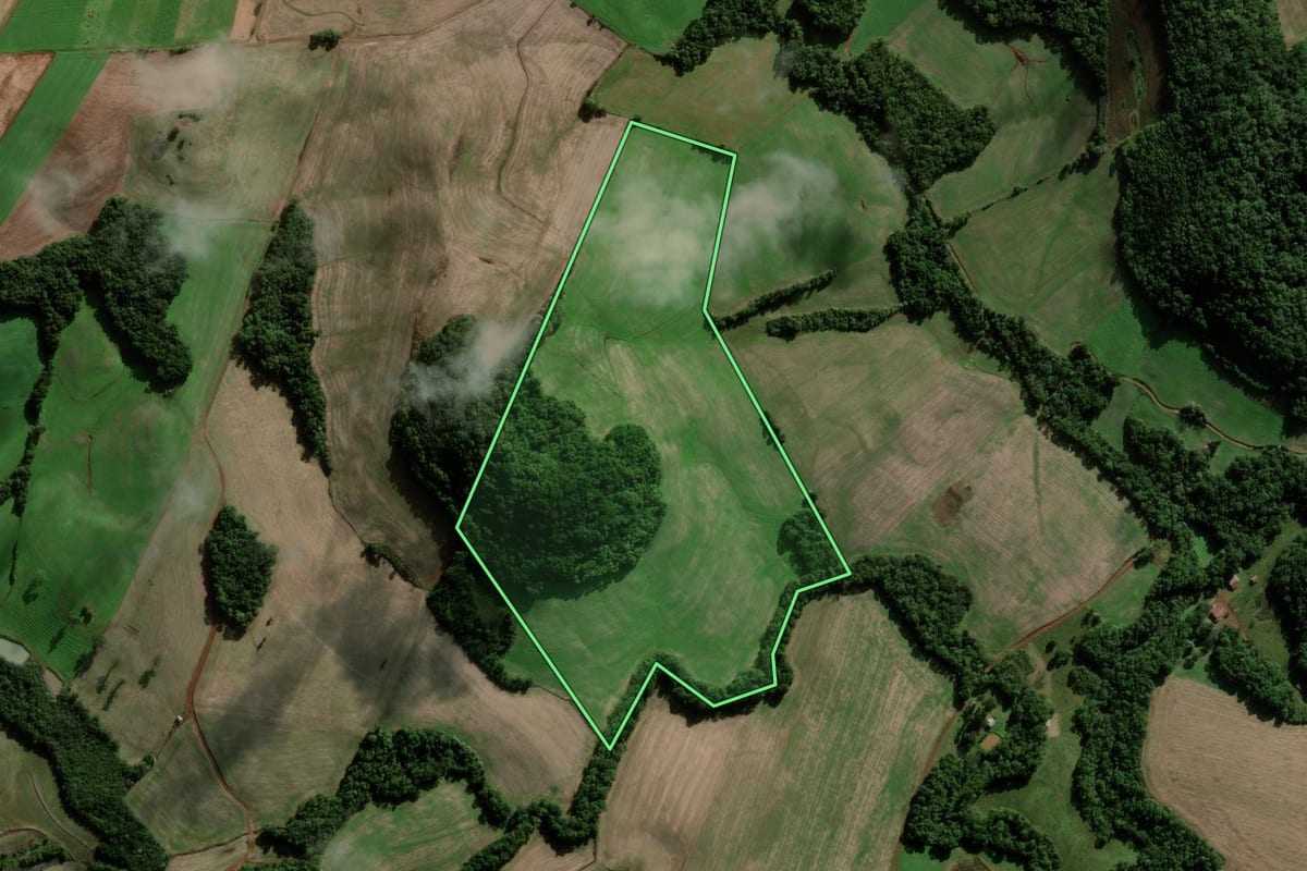 Imagem de satélite do imóvel rural em Novo Barreiro (RS), com o contorno declarado no CAR desenhado por cima.