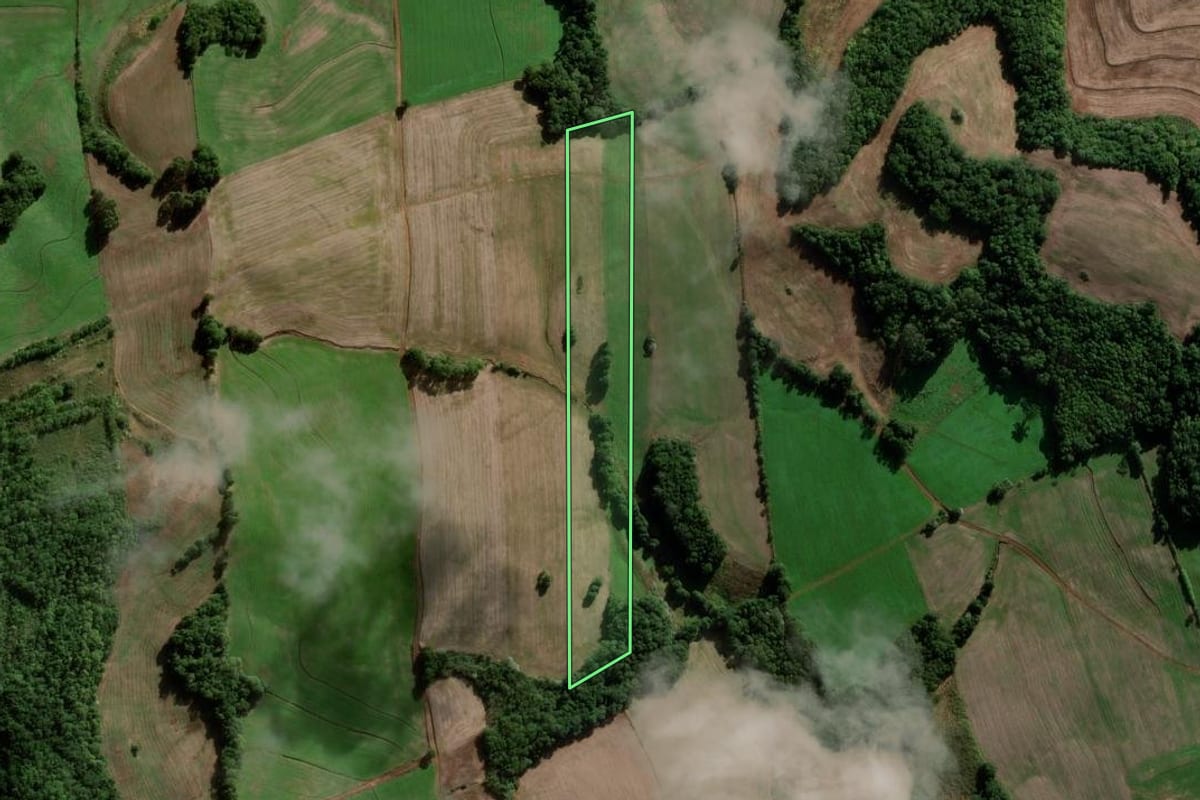 Imagem de satélite do imóvel rural em Novo Barreiro (RS), com o contorno declarado no CAR desenhado por cima.