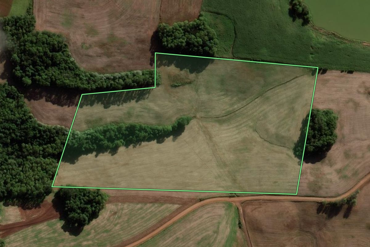 Imagem de satélite do imóvel rural em Novo Barreiro (RS), com o contorno declarado no CAR desenhado por cima.
