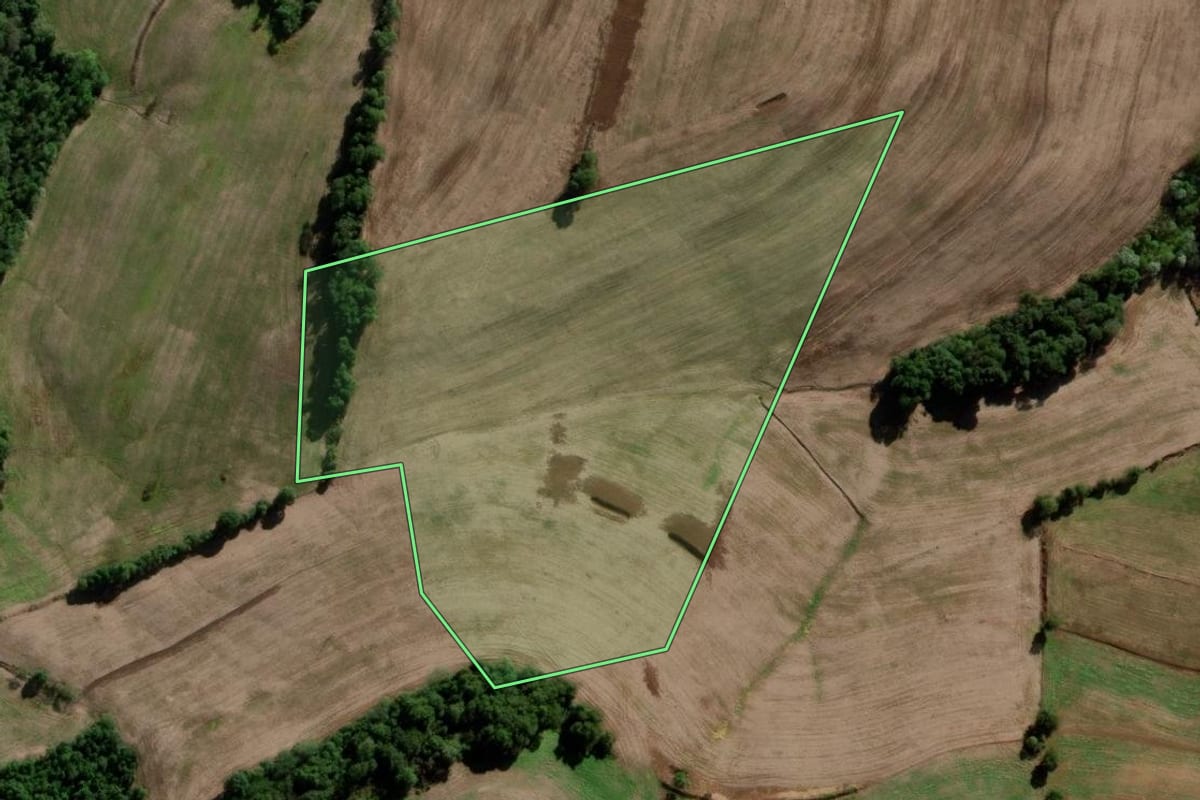 Imagem de satélite do imóvel rural em Novo Barreiro (RS), com o contorno declarado no CAR desenhado por cima.