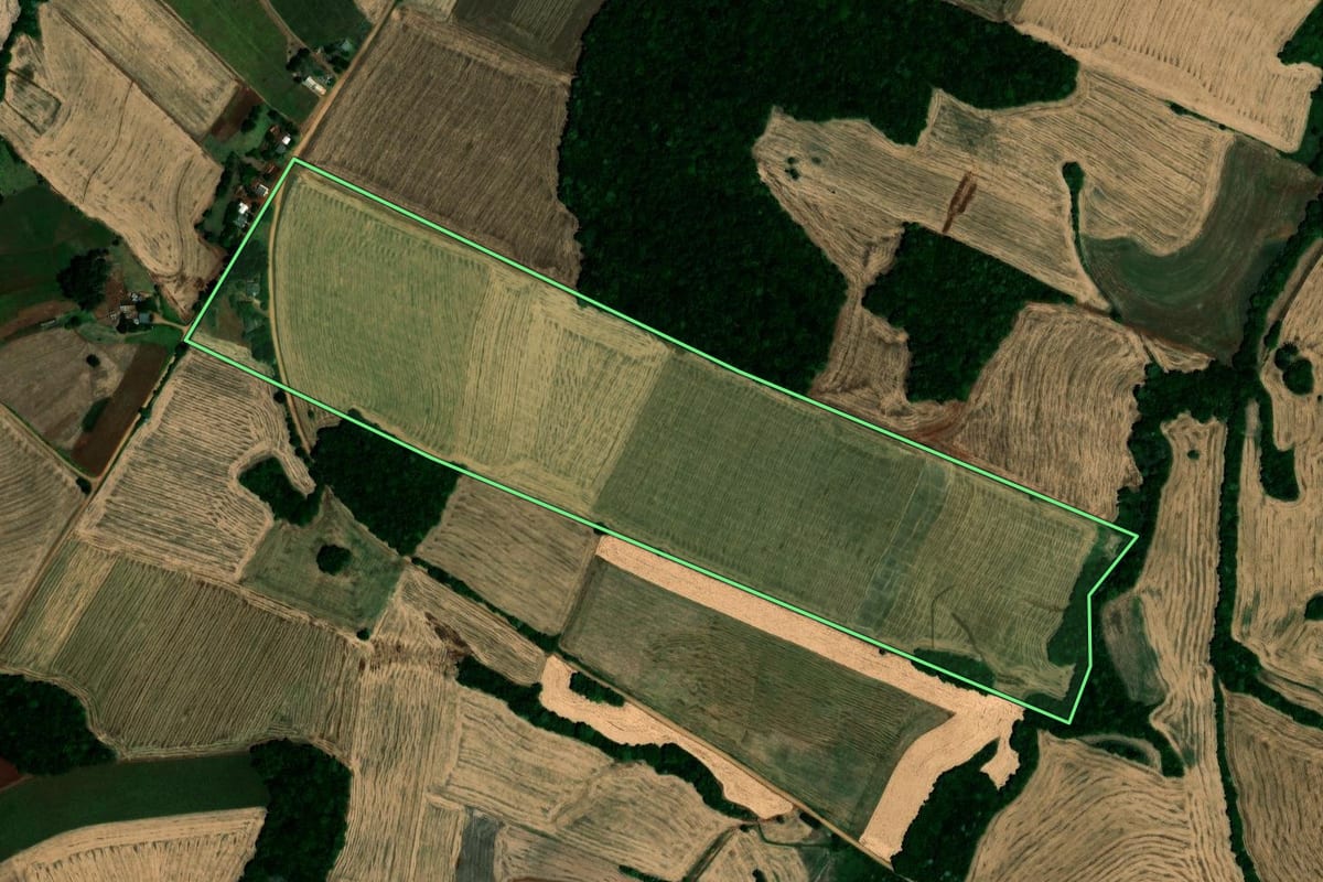 Imagem de satélite do imóvel rural em Novo Barreiro (RS), com o contorno declarado no CAR desenhado por cima.